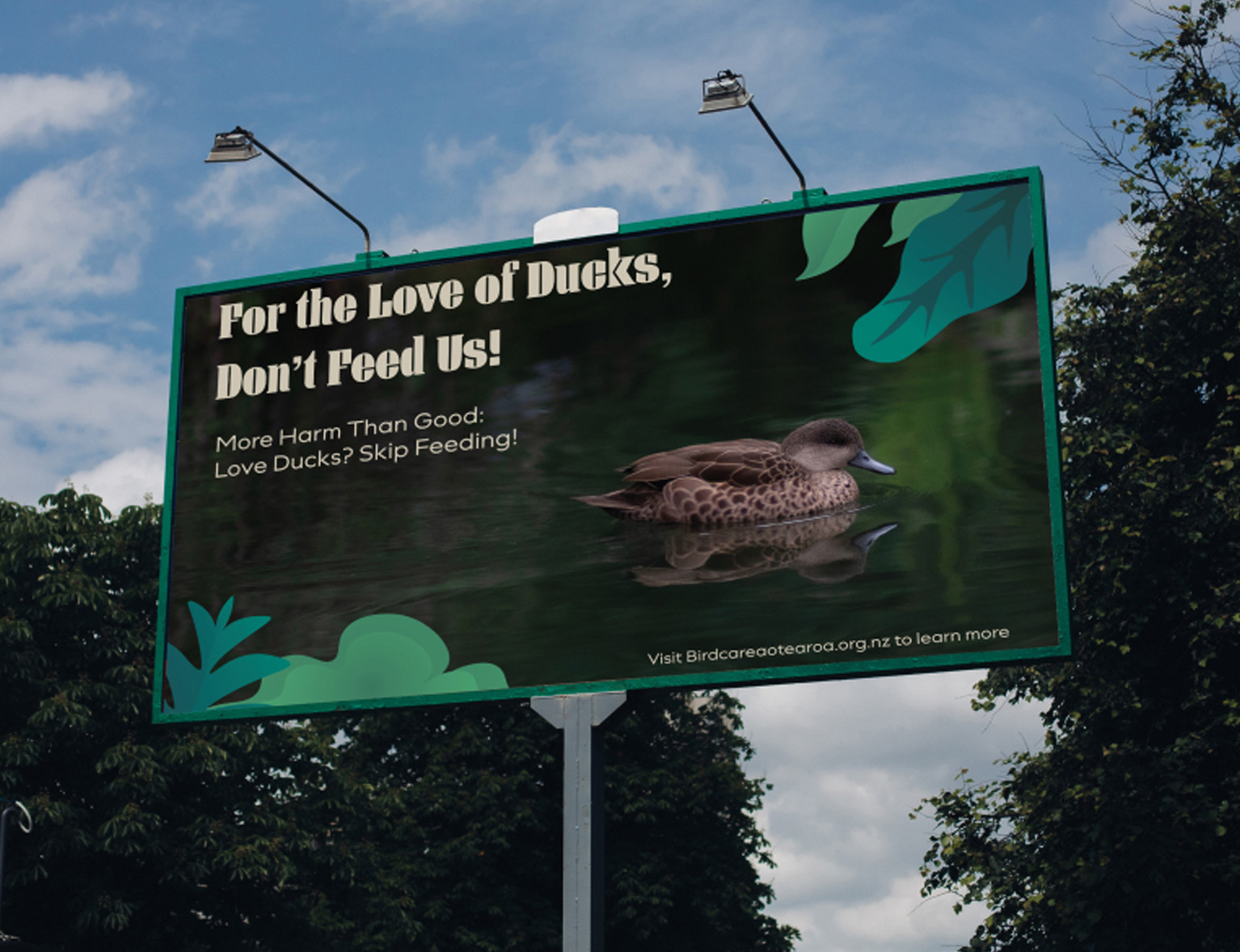 Birdcare